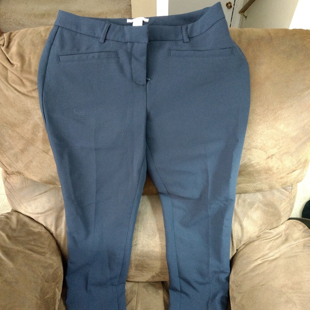 Dress pants